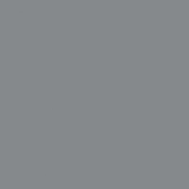 DSOG5500 Metallic Silver